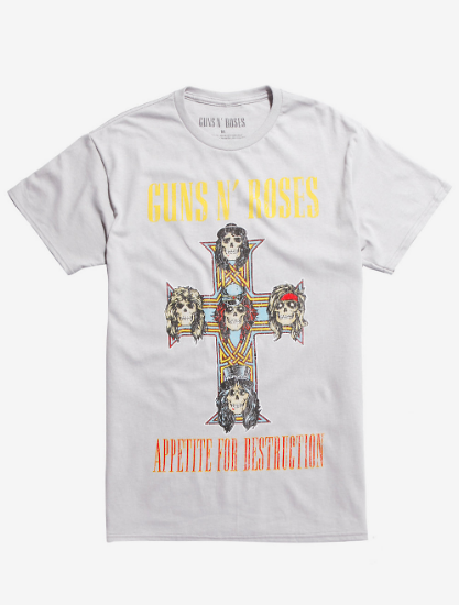 appetite for destruction album cover